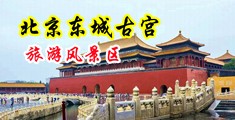 肉洞网站中国北京-东城古宫旅游风景区